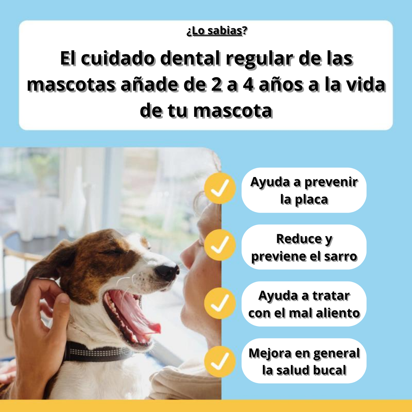 Removedor de Placa Dental Canina