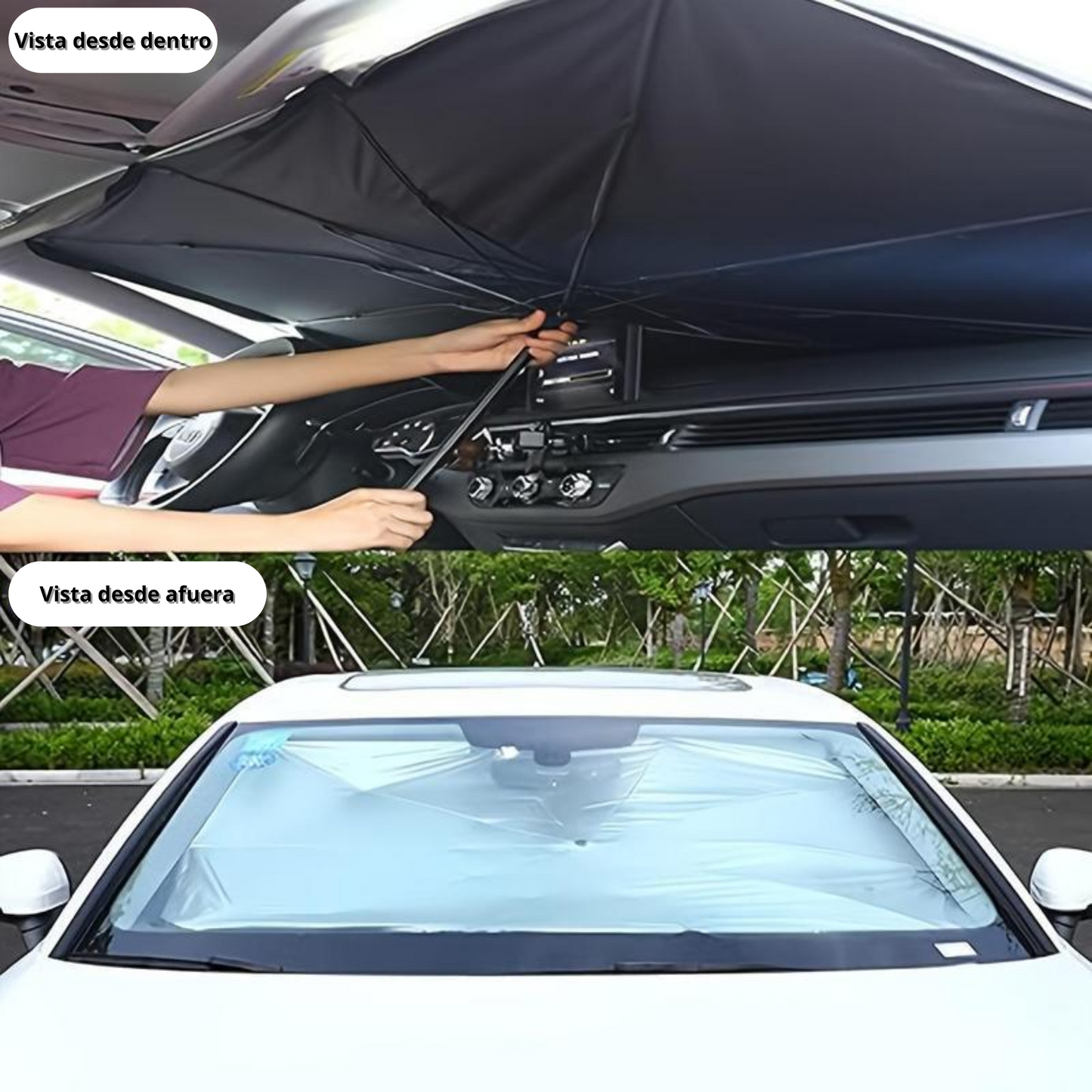 Parasol de Autos