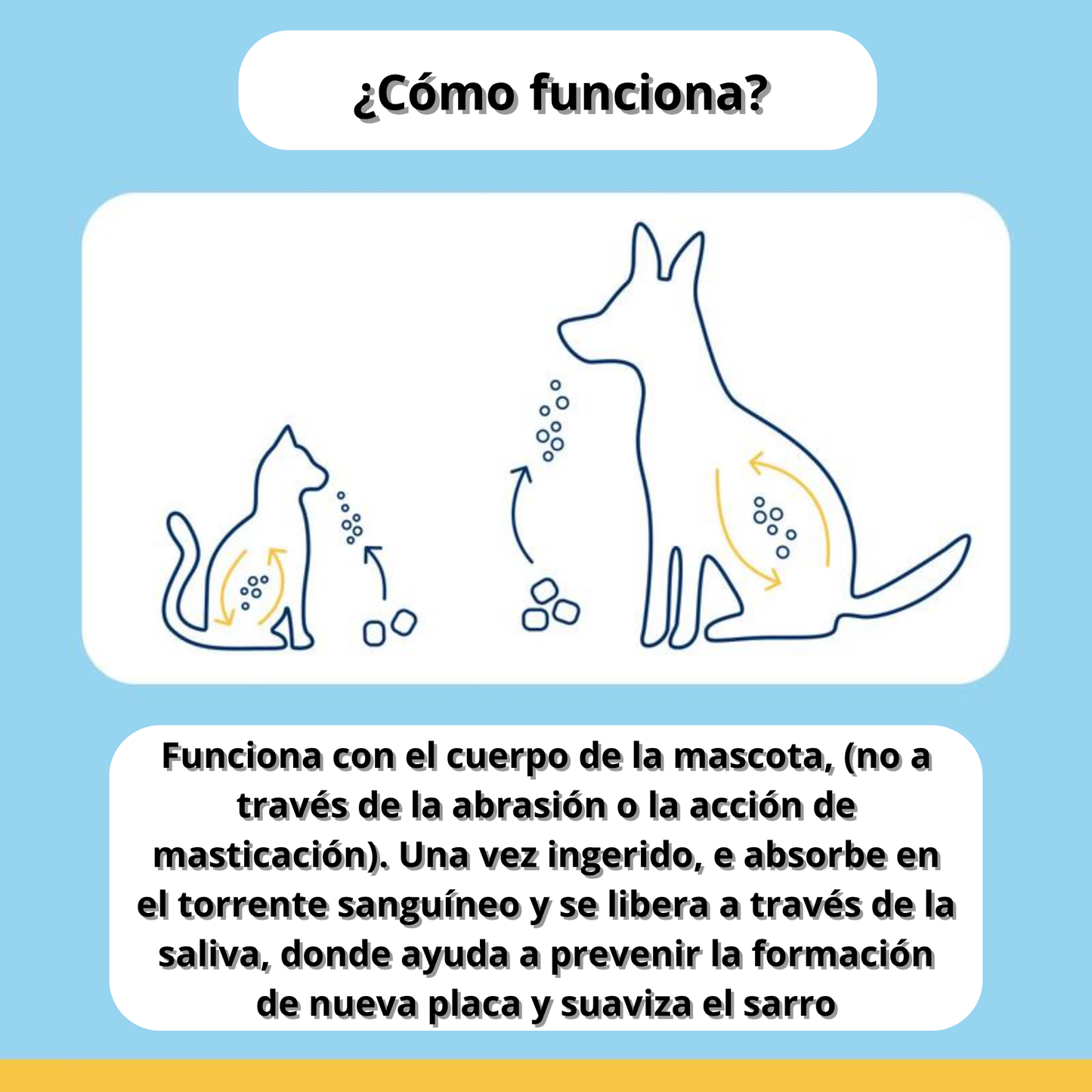 Removedor de Placa Dental Canina