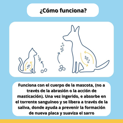Removedor de Placa Dental Canina
