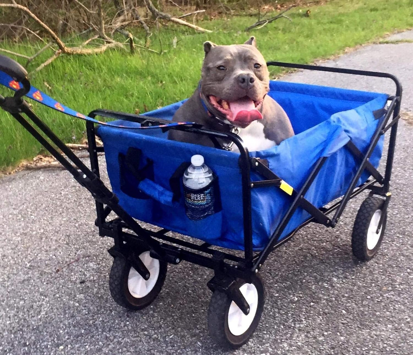 Carrito Plegable Para Compras